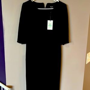 Women dress with pleated flate sleeves. Never worn, without tag